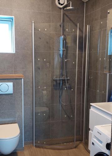 um chuveiro com uma porta de vidro na casa de banho em Tungukot sumarhús em Akureyri