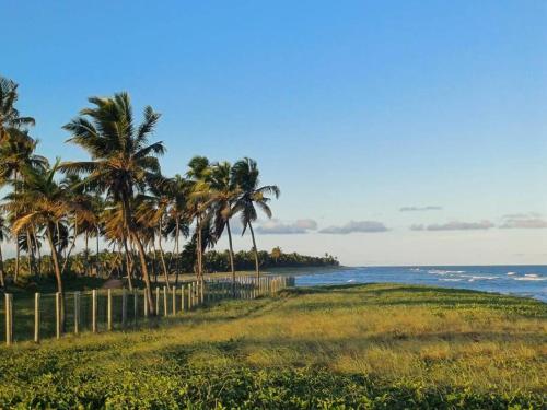 une rangée de palmiers sur une plage avec l'océan dans l'établissement Village Baixio, à Baixio