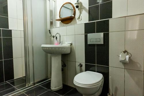 a bathroom with a toilet and a sink and a mirror at ALEX VİLLAGE LİFE in Kartepe