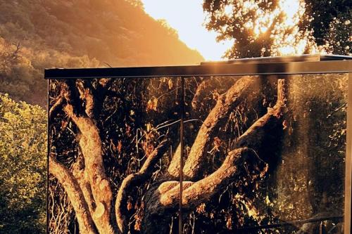 a painting of tree roots on a wall at Paradise Ranch Inn- Awake House Hot Tub,Sauna in Three Rivers