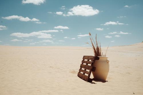 a vase sitting in the middle of the desert at Tzila Camp in Fayoum Center