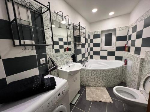 a bathroom with a sink and a tub and a toilet at Apartmán Teplice in Teplice