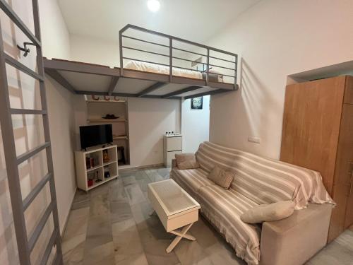 RgHOST-Apartamento La Palma en Casco Histórico