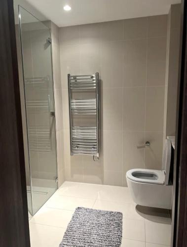 a bathroom with a shower and a toilet and a rug at Luxury Flat In Paddington in London