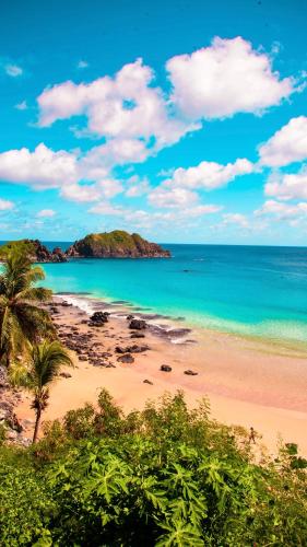 a beach with a palm tree and the ocean at Noronha Economy Suítes - Hospedagem com melhor localização e custo benefício da ilha in Fernando de Noronha