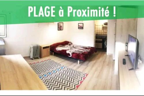 Les Palmiers - Studio cosy proche plages et centre