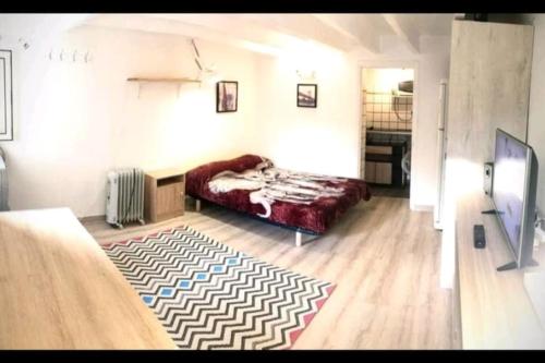 - un salon avec un lit et un tapis dans l'établissement Les Palmiers - Studio cosy proche plages et centre, à Antibes