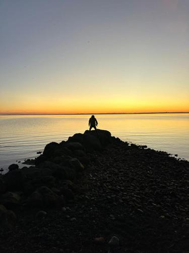 a person sitting on a rock in front of the water at Calma Cabins in Puerto Clocker