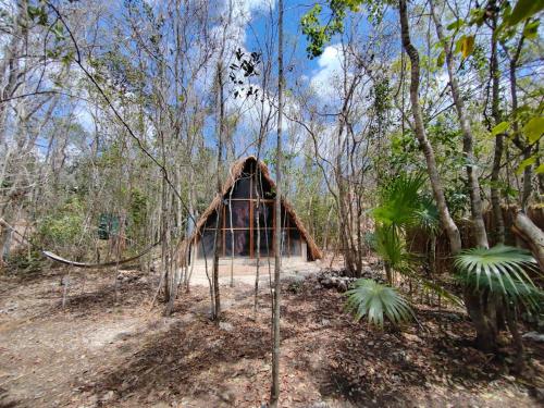 a small building in the middle of a forest at El Cenote 11:11 in Tulum