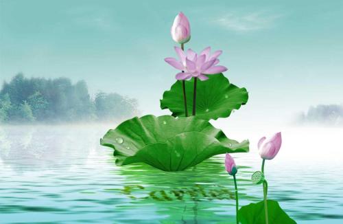 una pintura de un loto rosa en el agua en Nhà trọ Tân An, en Tân Tạo