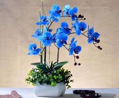 Un jarrón blanco con flores azules. en Nhà trọ Tân An, en Tân Tạo