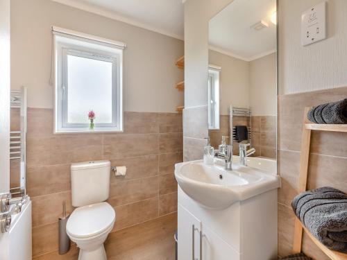 een badkamer met een wastafel, een toilet en een raam bij Church View - Uk46896 in Kinlet