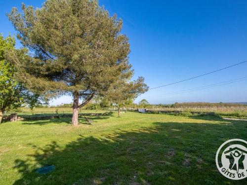 a tree in the middle of a grass field at Gîte charmant entre Loire et Layon, terrasse, jardin, parking, proche d'Angers, idéal pour couples - FR-1-622-71 in Rochefort-sur-Loire