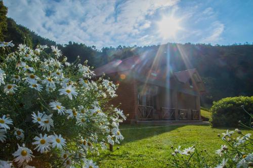a building with the sun shining behind a field of flowers at Swiss Farm Cottage in Lushoto
