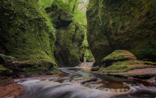 a small stream in a canyon with mossy rocks at The Mar Huts - The Lomond Hut in Drymen