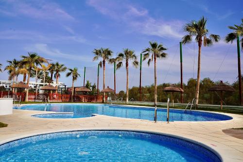 una gran piscina con palmeras en el fondo en Aguacate Beach Apartamentos Playa Granada, en Motril