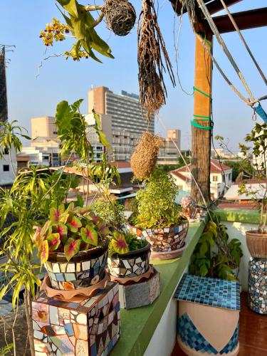 a group of potted plants sitting on a ledge at Karma Home Hostel in Phitsanulok