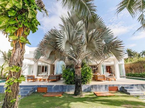 a palm tree in front of a house at Villa - Biệt Thự Nghỉ Dưỡng Phan Thiết in Bình Sum