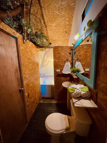 ein Badezimmer mit einem Waschbecken, einem WC und einem Spiegel in der Unterkunft Hotel Oh My Dog in Medellín