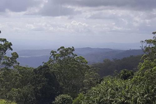 a view of the mountains with trees in the foreground at Windsong at Ravensbourne Escape 1 Bedroom in Ravensbourne
