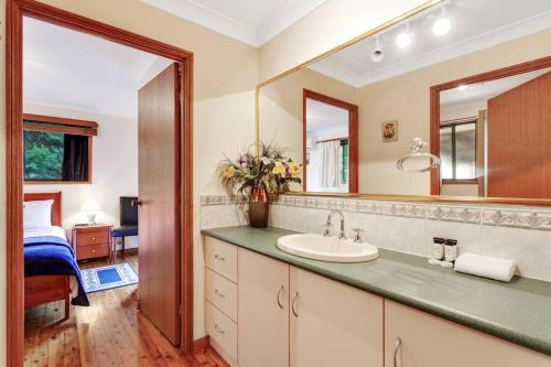 uma casa de banho com um lavatório e um espelho em Cedar Lodge - Cosy Mountain Retreat 1 Bedroom em Ravensbourne