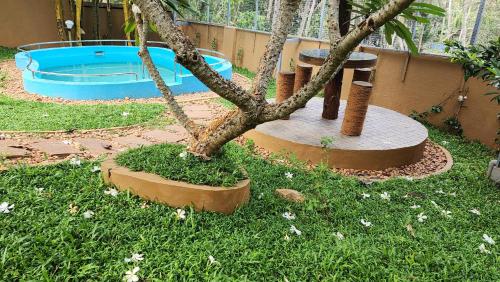 a small tree in a garden with a pool at Cocoon Earth Home - Pool Villa Kovalam in Kovalam