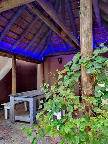 a wooden bench sitting under a wooden roof at Aviators Paradise Guest House in Mossel Bay