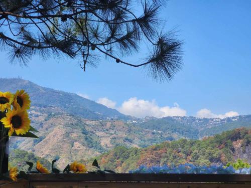 a view of a mountain range with a sunflower at Wood and Mountain in Baguio