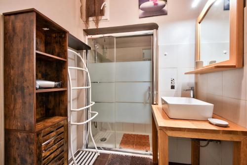 a bathroom with a sink and a shower at la palais osiris Nice centre jardin wifi clim parking in Nice