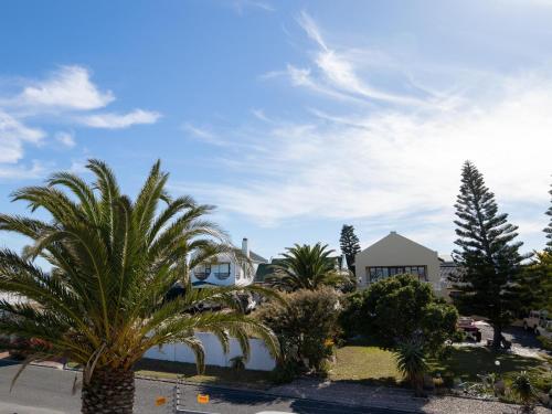 a group of palm trees in front of a house at The Yellow Door in De Kelders