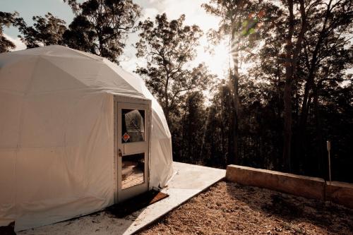 a white tent in a field with trees in the background at Nature Domes in Comboyne