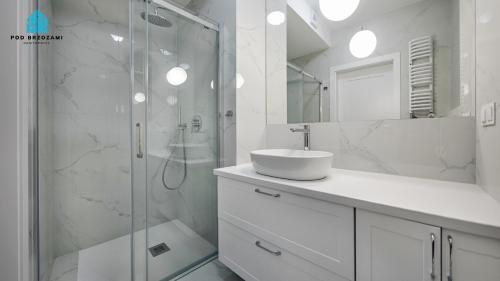 Koupelna v ubytování Pod Brzozami Apartamenty Gea Eco