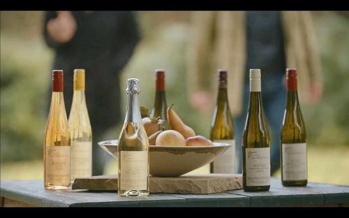 a group of bottles of wine and a bowl of apples at Bioweingut Hauerhof 99 -apartment 1 in Klosterneuburg