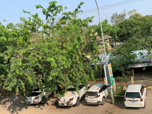 a row of cars parked next to a tree at Ditar Guest House D in Battambang