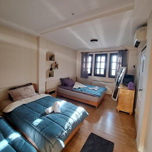 a bedroom with two beds and a couch in it at Aura house in Dolna Banya