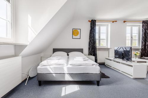 een slaapkamer met een bed en een televisie. bij Zentrales charmantes Apartment in Kulmbach