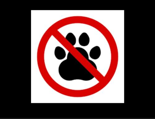 a no dog paw sign on a white background at La Maison de Gioel in Olbia