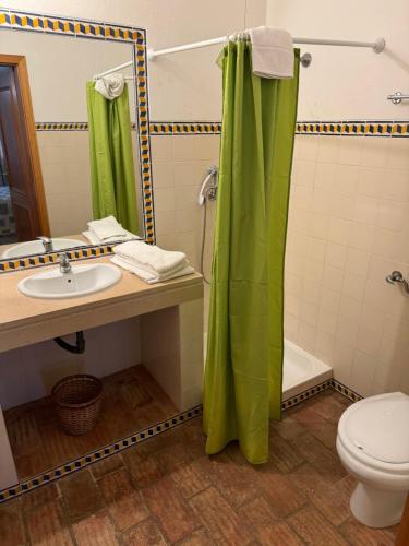 ein Badezimmer mit einem grünen Duschvorhang und einem Waschbecken in der Unterkunft Dream Executive Apartments in Luz