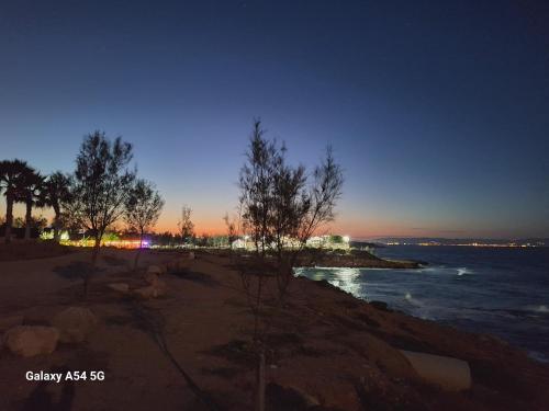 POSEIDONIA BEACH GARDENS