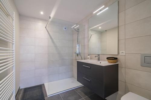 ein Bad mit einem Waschbecken und einer Dusche mit einem Spiegel in der Unterkunft Le Millésime de Sigo in Sigolsheim