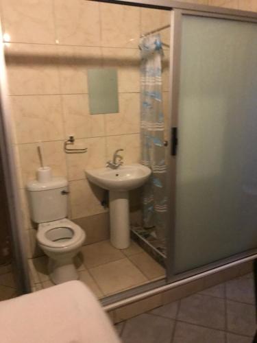 ein kleines Bad mit WC und Waschbecken in der Unterkunft Good living Guesthouse in Windhoek