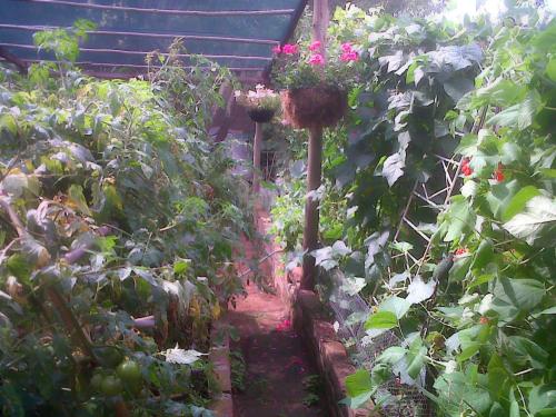 Taman di luar Karma Backpackers