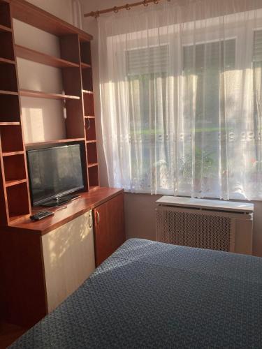 a bedroom with a bed and a tv and a window at Platán Apartman in Marcali
