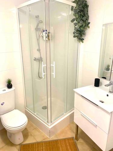 une salle de bain blanche avec douche et toilettes dans l'établissement Studio Centre historique Carpentras : Mya lee, à Carpentras