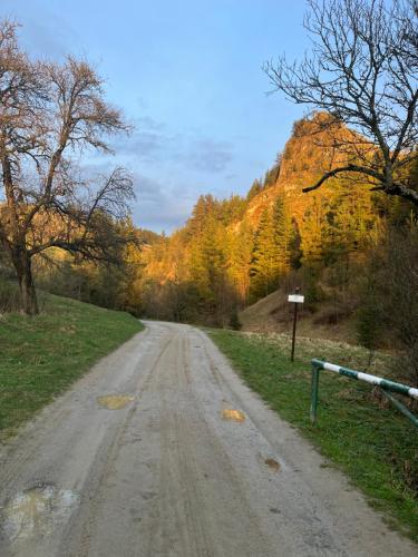 a dirt road with a mountain in the background at Apartament Primula 1 in Jaworki