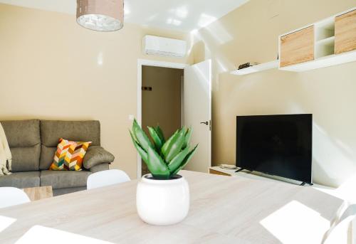 Una sala de estar con una mesa con una planta encima. en Casa de los Abuelos, en Úbeda
