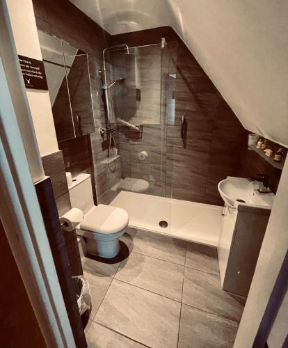a bathroom with a shower and a toilet and a sink at The Stag Hotel and Mailmans Arms in Lyndhurst