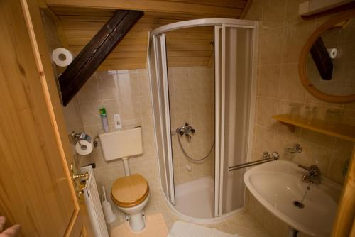 a bathroom with a shower and a toilet and a sink at Farm Soržev mlin in Nova Cerkev