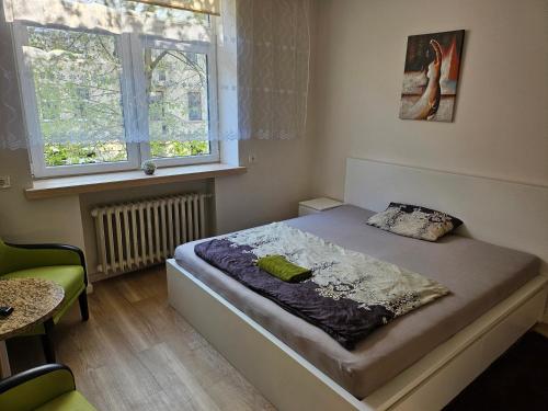 - une chambre avec un lit et une fenêtre dans l'établissement Lux kambarys centre su karališka lova #3, à Kaunas