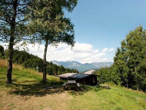 a picnic table in a field next to a shed at Spacious Chalet in W rgl Boden near Ski Area in Wörgl